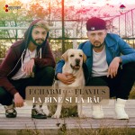 FCharm feat. Flavius - La bine si la rau - itunes cover